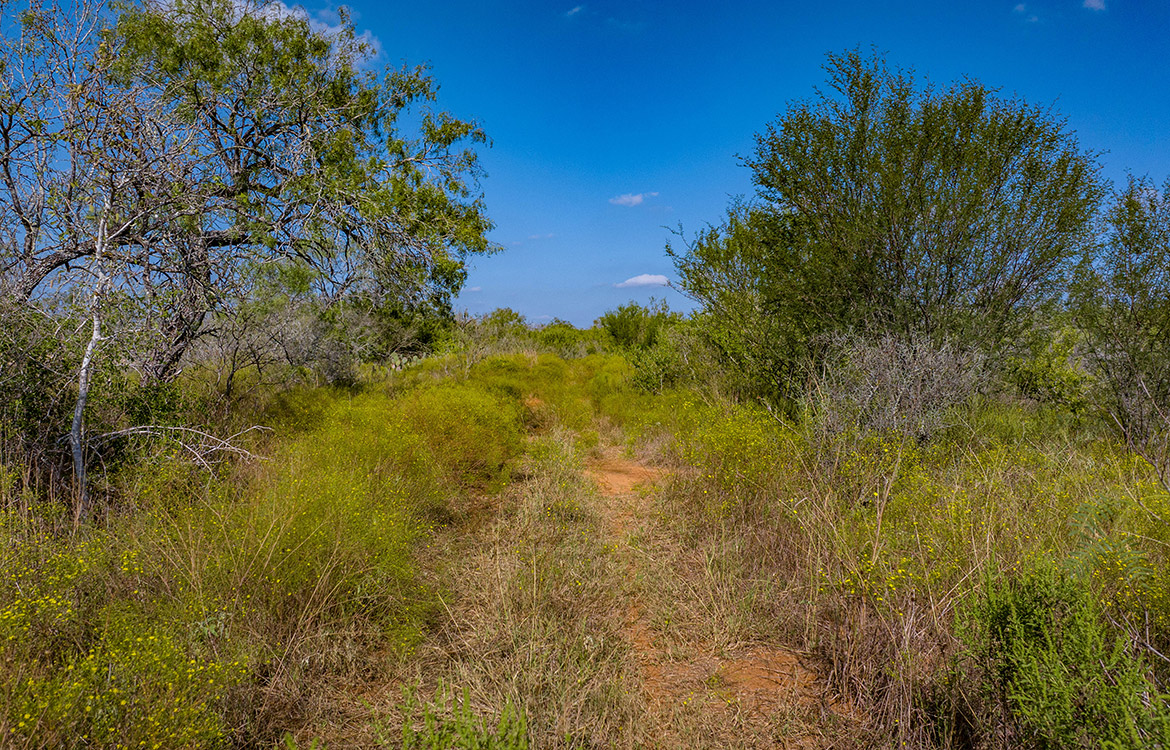 Dry Creek Ranch 64 Acre Ranch For Sale In Wilson County Image 1
