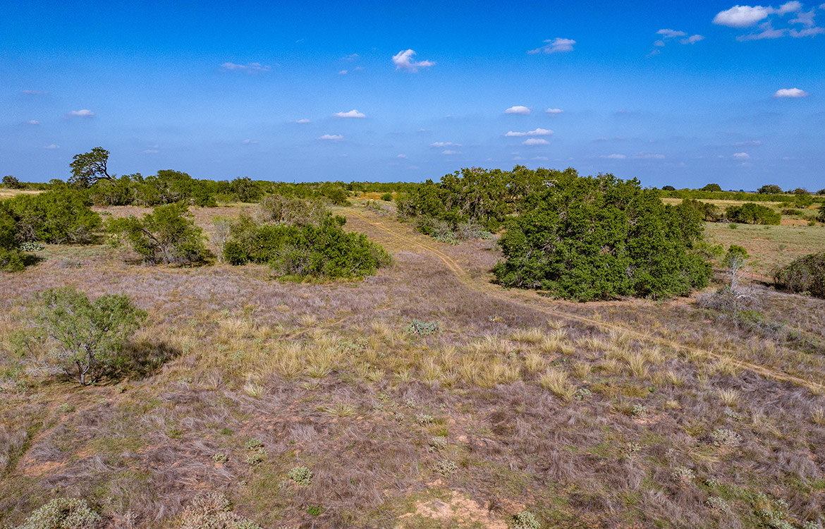 Dry Creek Ranch 64 Acre Ranch For Sale In Wilson County Image 10