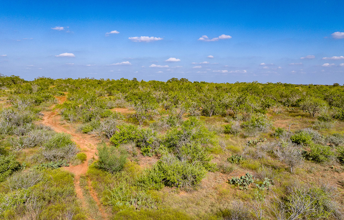 Dry Creek Ranch 64 Acre Ranch For Sale In Wilson County Image 12