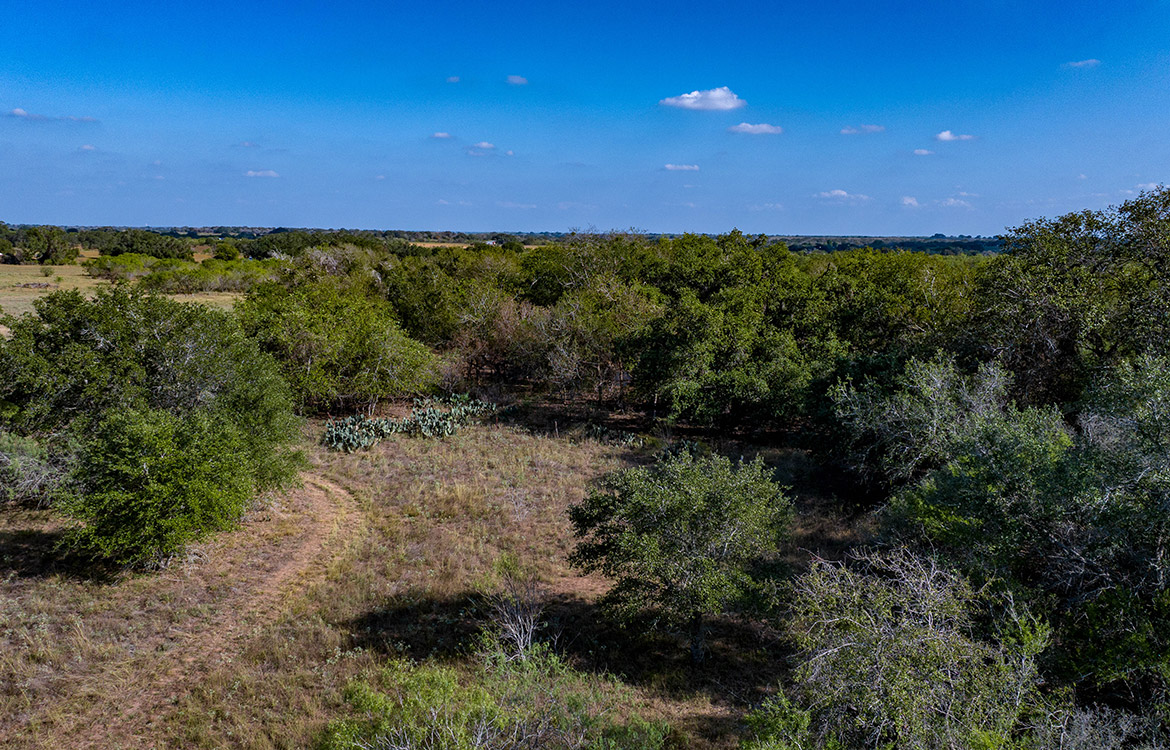 Dry Creek Ranch 64 Acre Ranch For Sale In Wilson County Image 13