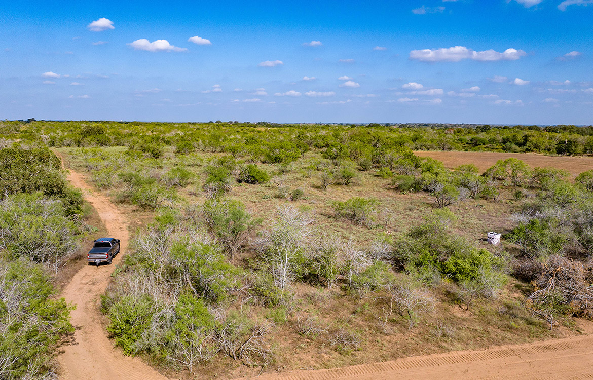 Dry Creek Ranch 64 Acre Ranch For Sale In Wilson County Image 14