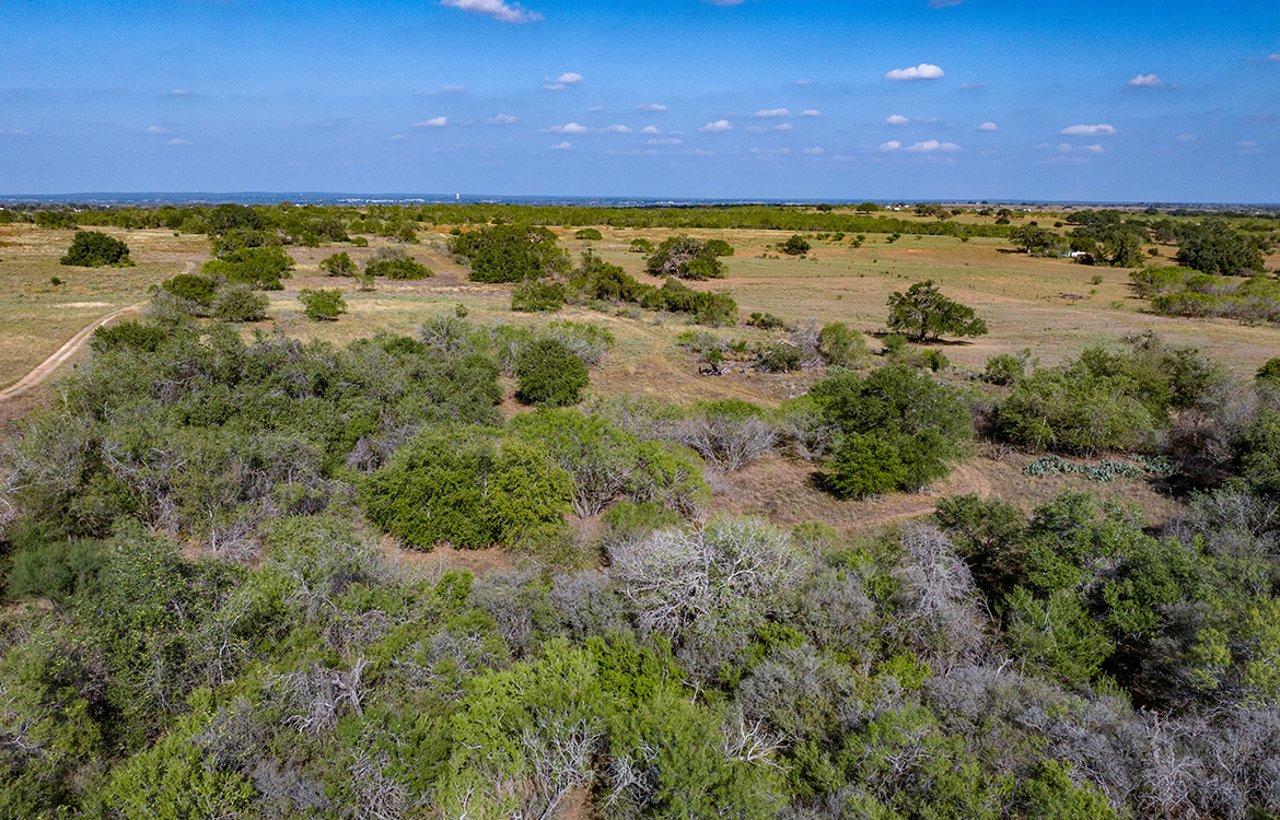 Dry Creek Ranch 64 Acre Ranch For Sale In Wilson County Image 16