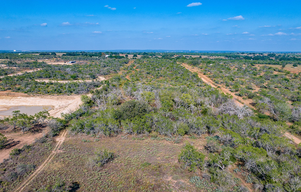 Dry Creek Ranch 64 Acre Ranch For Sale In Wilson County Image 19