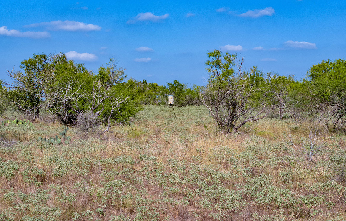 Dry Creek Ranch 64 Acre Ranch For Sale In Wilson County Image 2