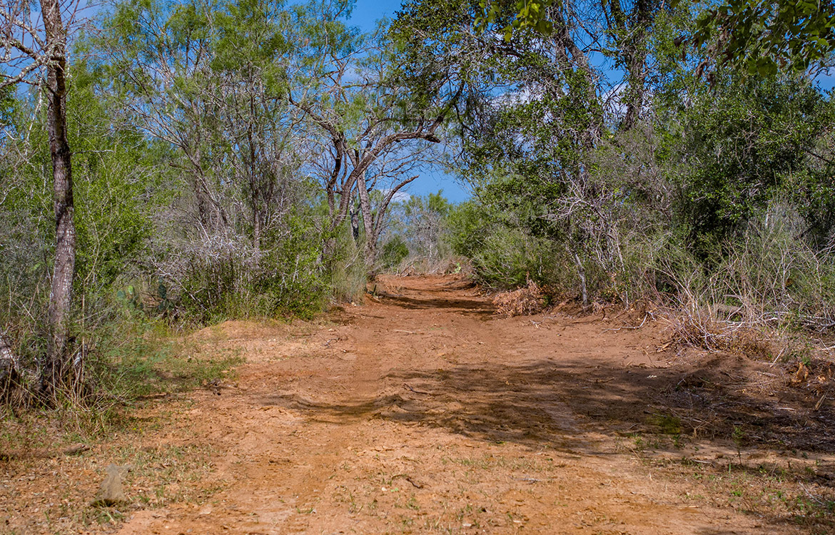 Dry Creek Ranch 64 Acre Ranch For Sale In Wilson County Image 4
