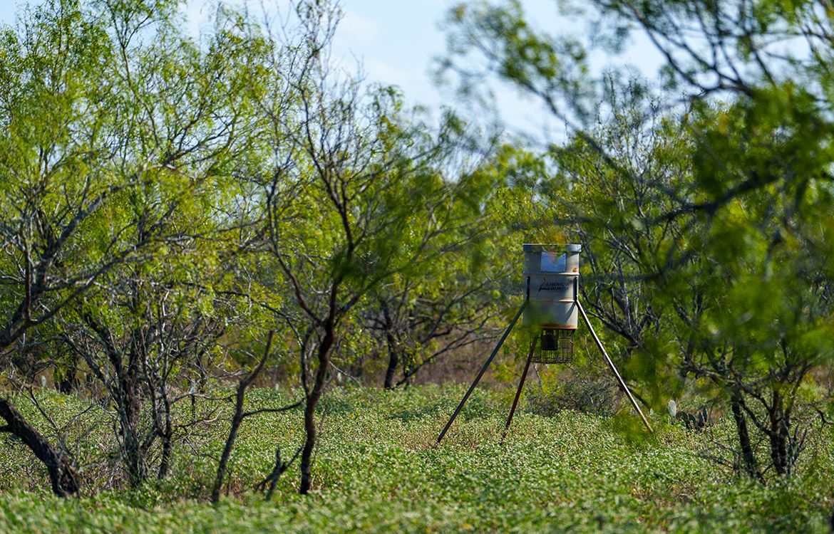 Dry Creek Ranch 64 Acre Ranch For Sale In Wilson County Image 5