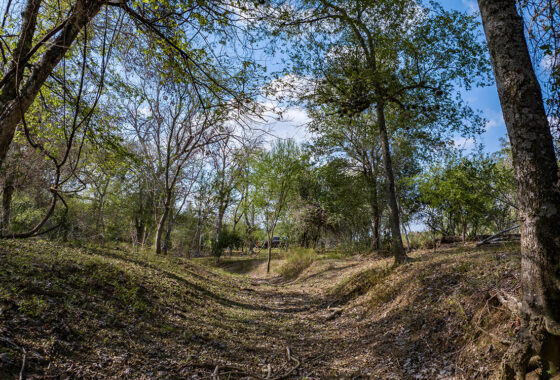 Dry Creek Ranch 64 Acre Ranch For Sale In Wilson County Image 6