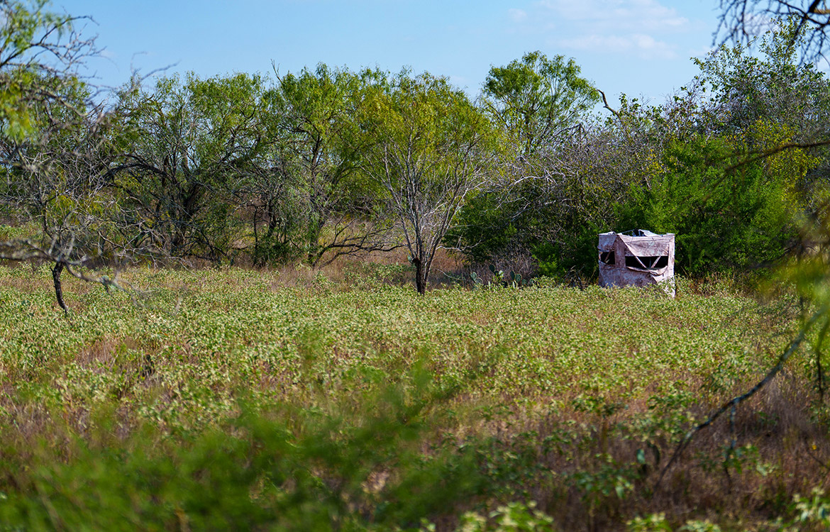 Dry Creek Ranch 64 Acre Ranch For Sale In Wilson County Image 7
