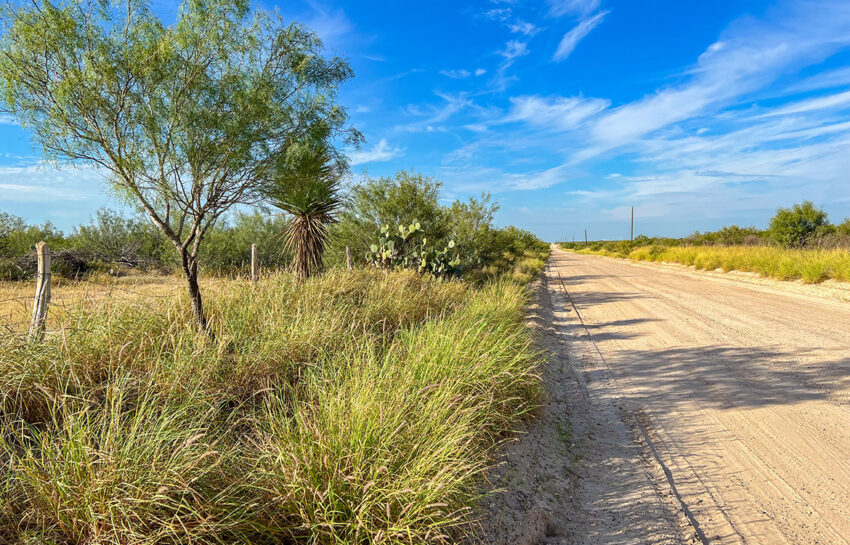 Segura Ranch 300 Acre Ranch For Sale In Zapata County Image 18