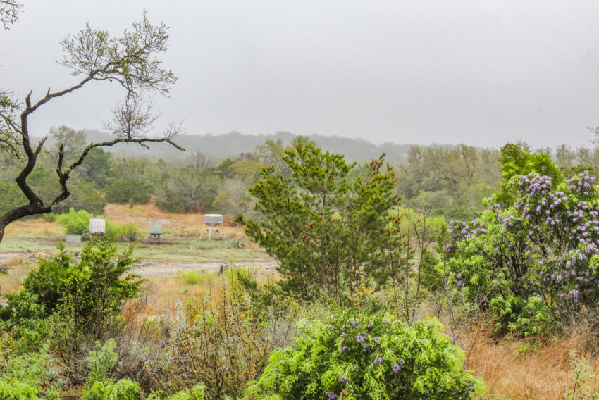 Silverhorn Ranch 102 Acre Ranch For Sale in Edwards County Image 1
