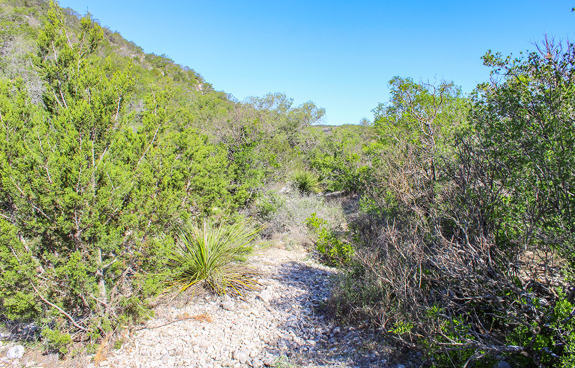 Pinion Ridge 110 Acre Ranch For Sale In Edwards County Image 13