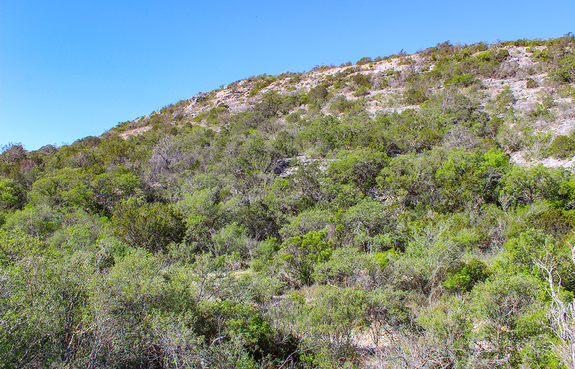 Pinion Ridge 110 Acre Ranch For Sale In Edwards County Image 14