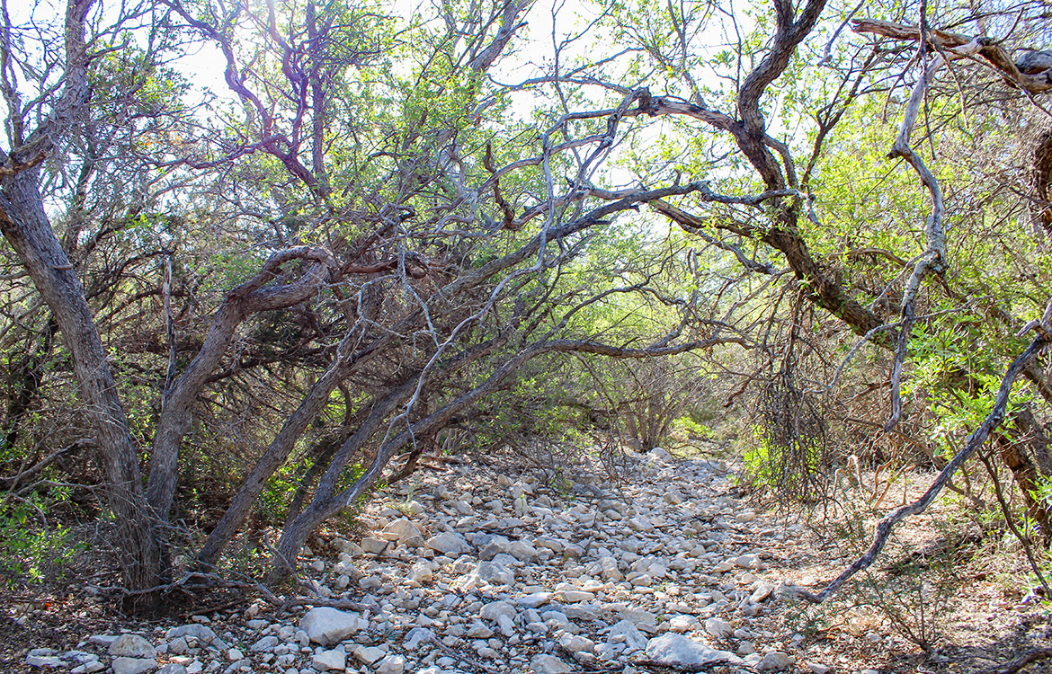 Pinion Ridge 110 Acre Ranch For Sale In Edwards County Image 16