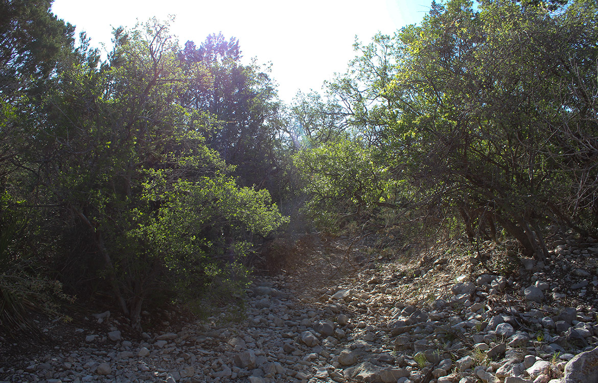 Pinion Ridge 110 Acre Ranch For Sale In Edwards County Image 17