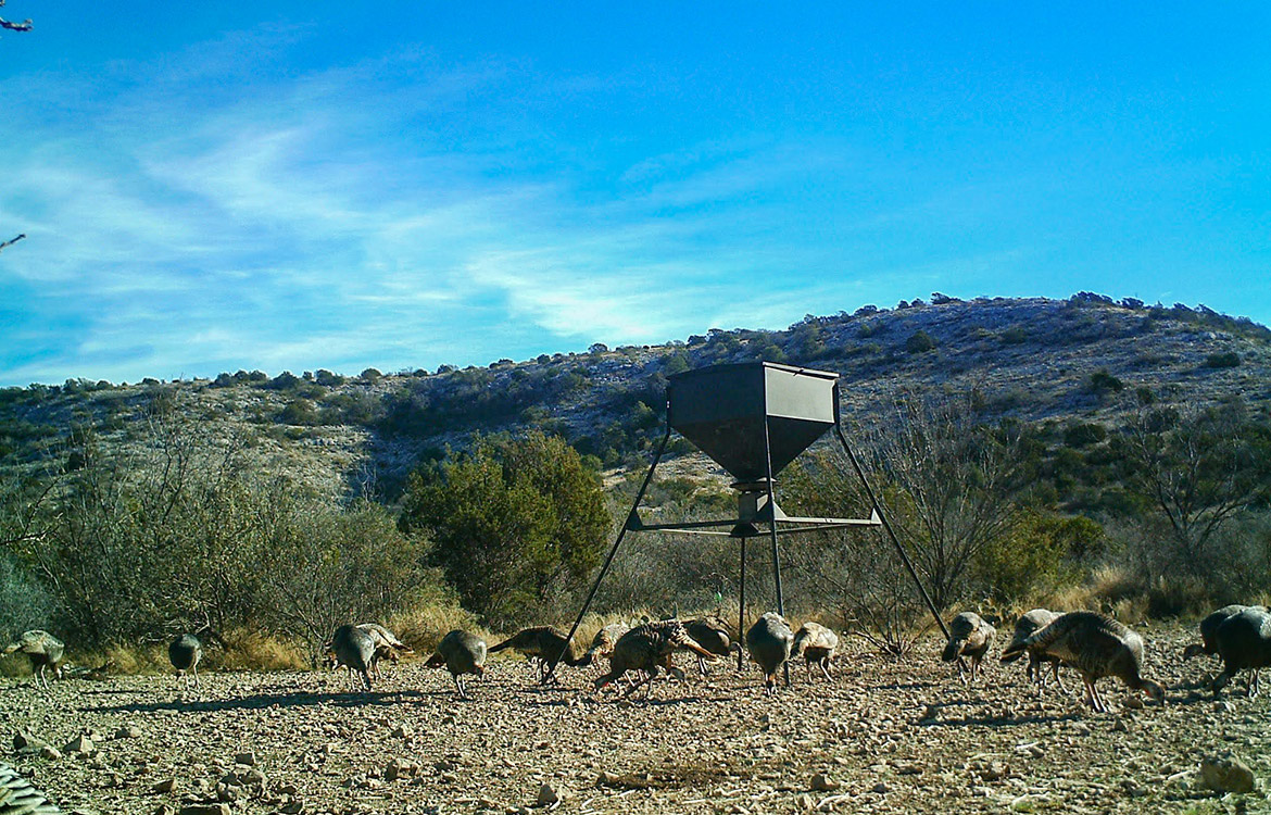 Pinion Ridge 110 Acre Ranch For Sale In Edwards County Image 18