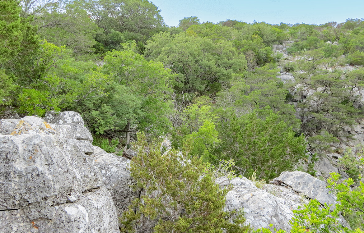 Pinion Ridge 110 Acre Ranch For Sale In Edwards County Image 8