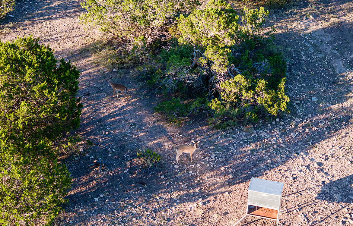 El Trofeo Ranch 133 Acre Ranch For Sale in Edwards County, TX Image 12