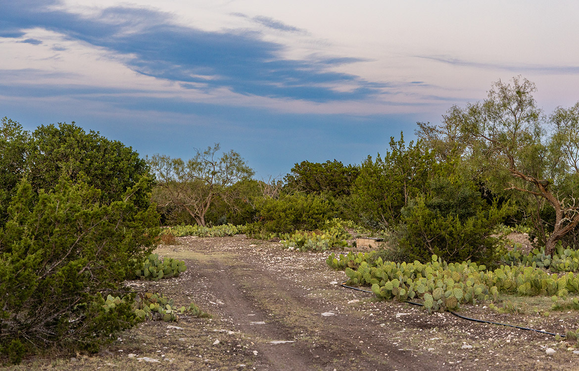 El Trofeo Ranch 133 Acre Ranch For Sale in Edwards County, TX Image 14