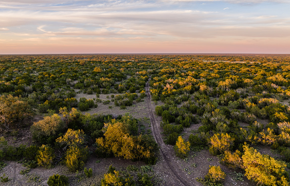 El Trofeo Ranch 133 Acre Ranch For Sale in Edwards County, TX Image 8