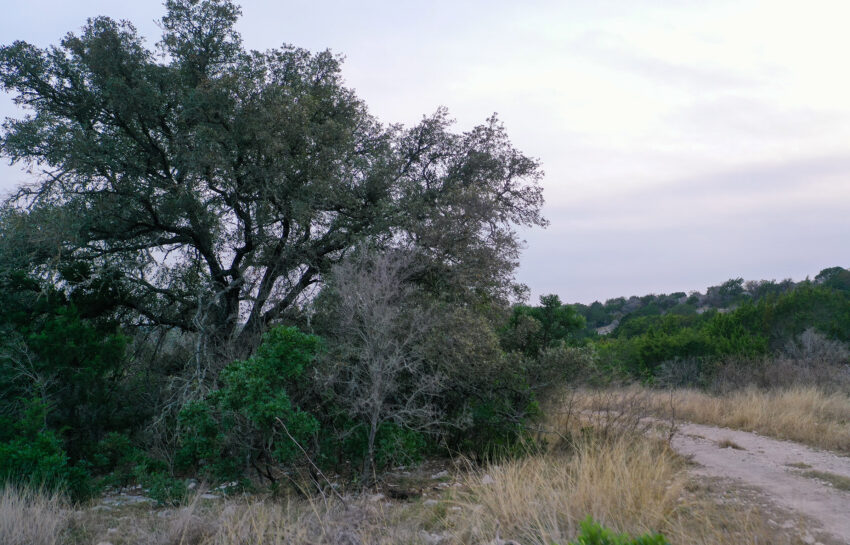 Bobcat Hollow II Ranch 150 Acre Ranch in Edwards County Texas Image 10