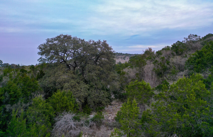 Bobcat Hollow II Ranch 150 Acre Ranch in Edwards County Texas Image 11
