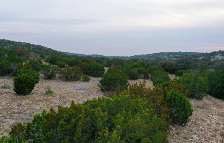 Bobcat Hollow II Ranch 150 Acre Ranch in Edwards County Texas Image 9