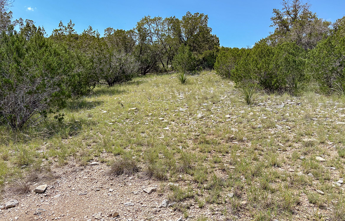 Cargill Ranch 36 Acre Ranch For Sale In Edwards County Image 13