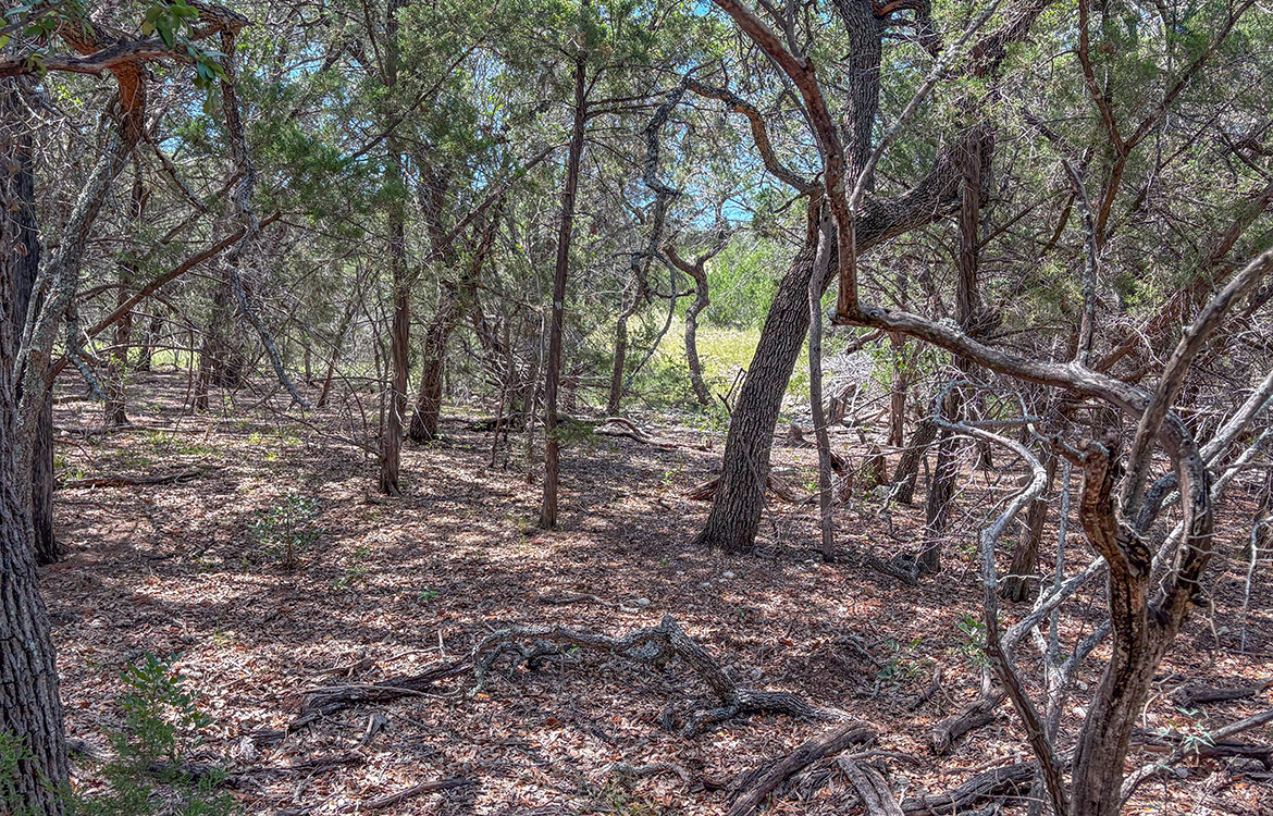 Cargill Ranch 36 Acre Ranch For Sale In Edwards County Image 15