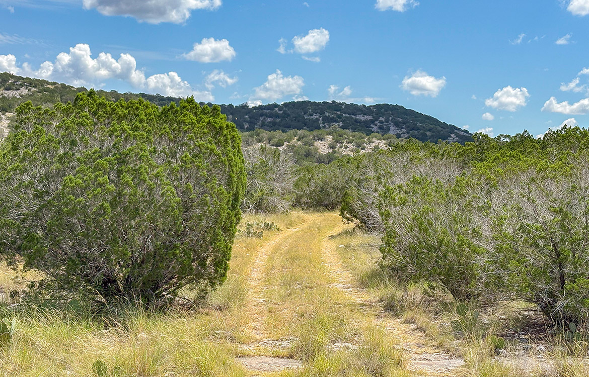 Cargill Ranch 36 Acre Ranch For Sale In Edwards County Image 2