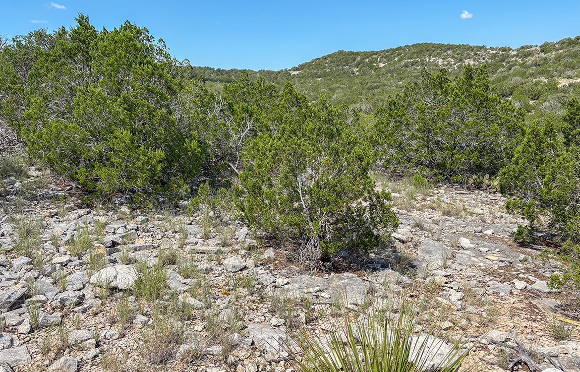 Cargill Ranch 36 Acre Ranch For Sale In Edwards County Image 7