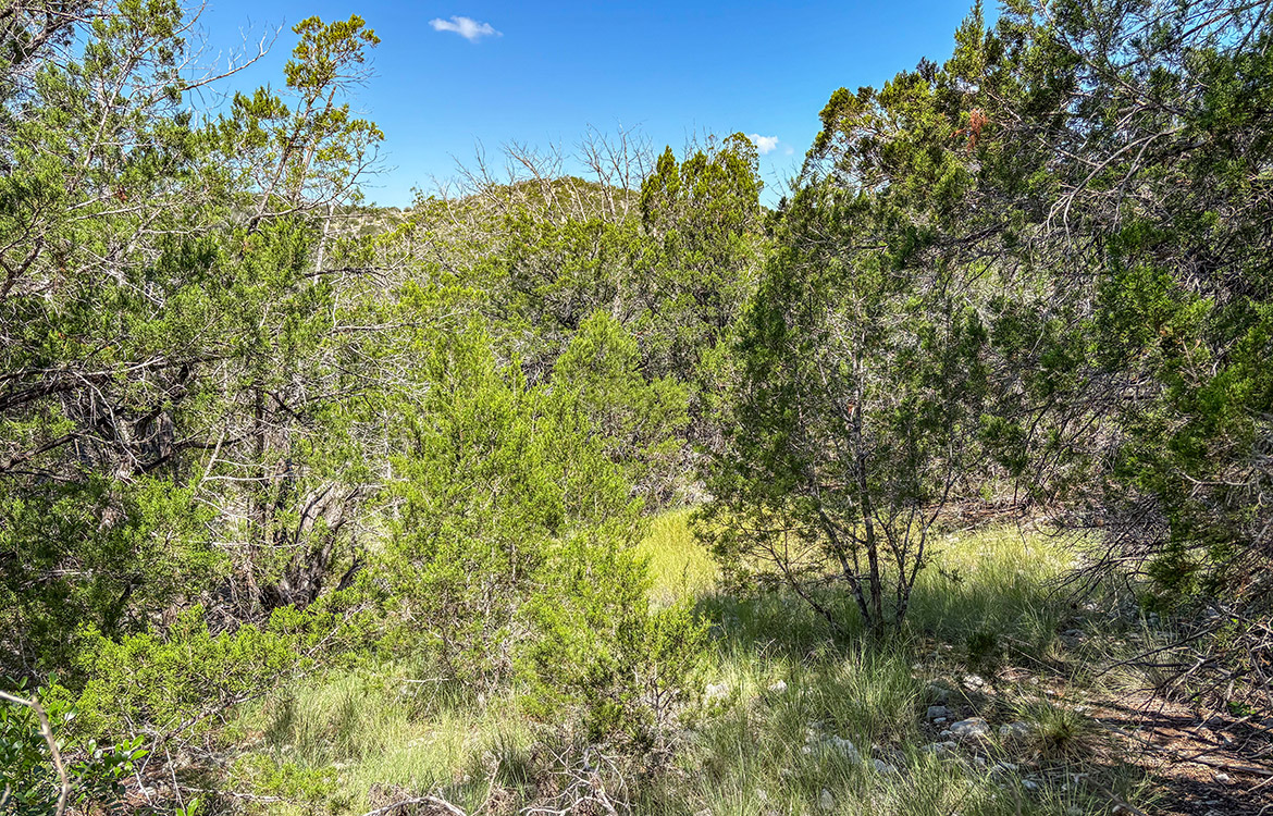 Cargill Ranch 36 Acre Ranch For Sale In Edwards County Image 9