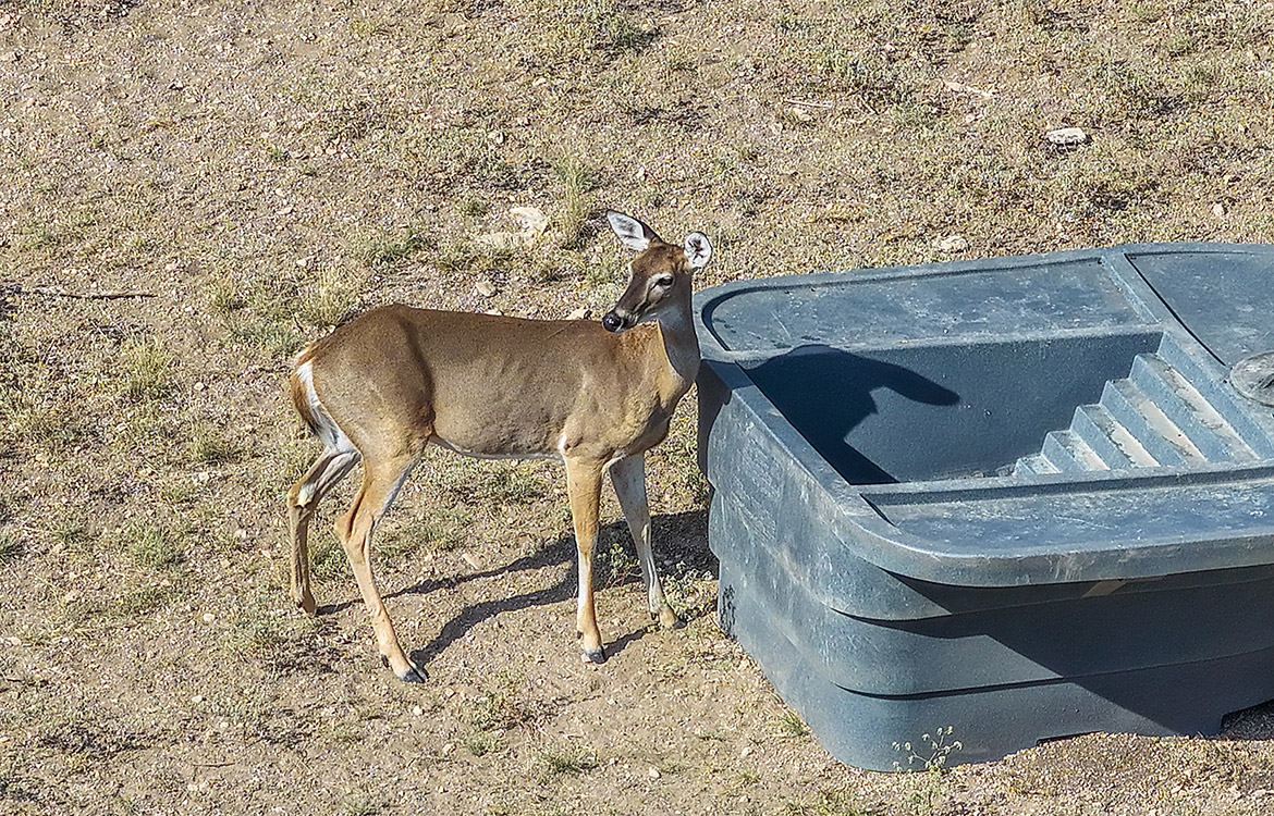 Great Wind Ranch 42 Acres For Sale In Edwards County Texas Image 16
