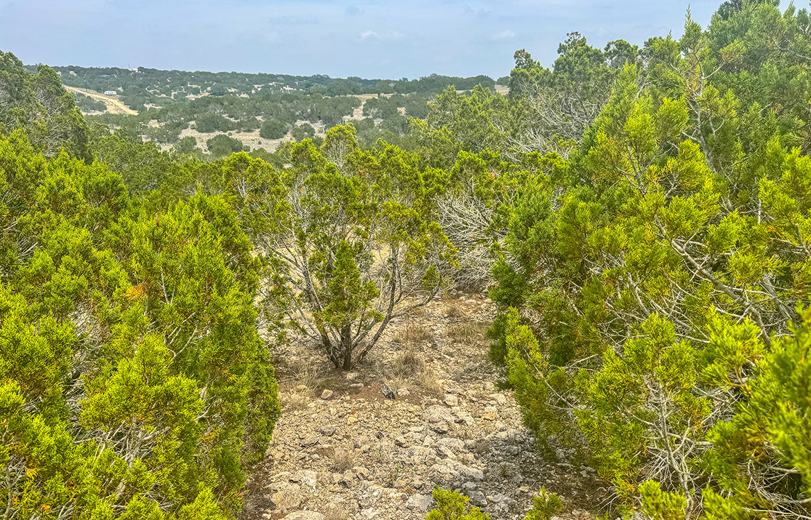 Edwards Escape 43 Acre Ranch For Sale In Edwards County Image 1
