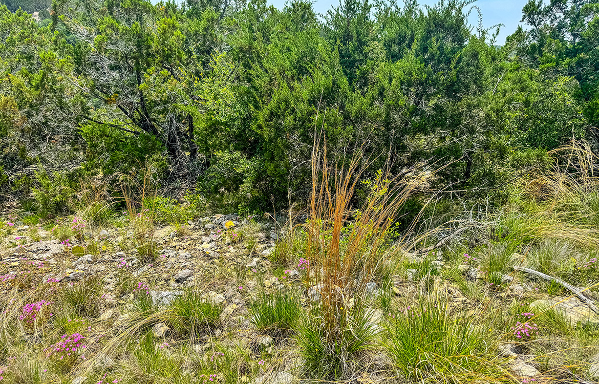 Edwards Escape 43 Acre Ranch For Sale In Edwards County Image 10