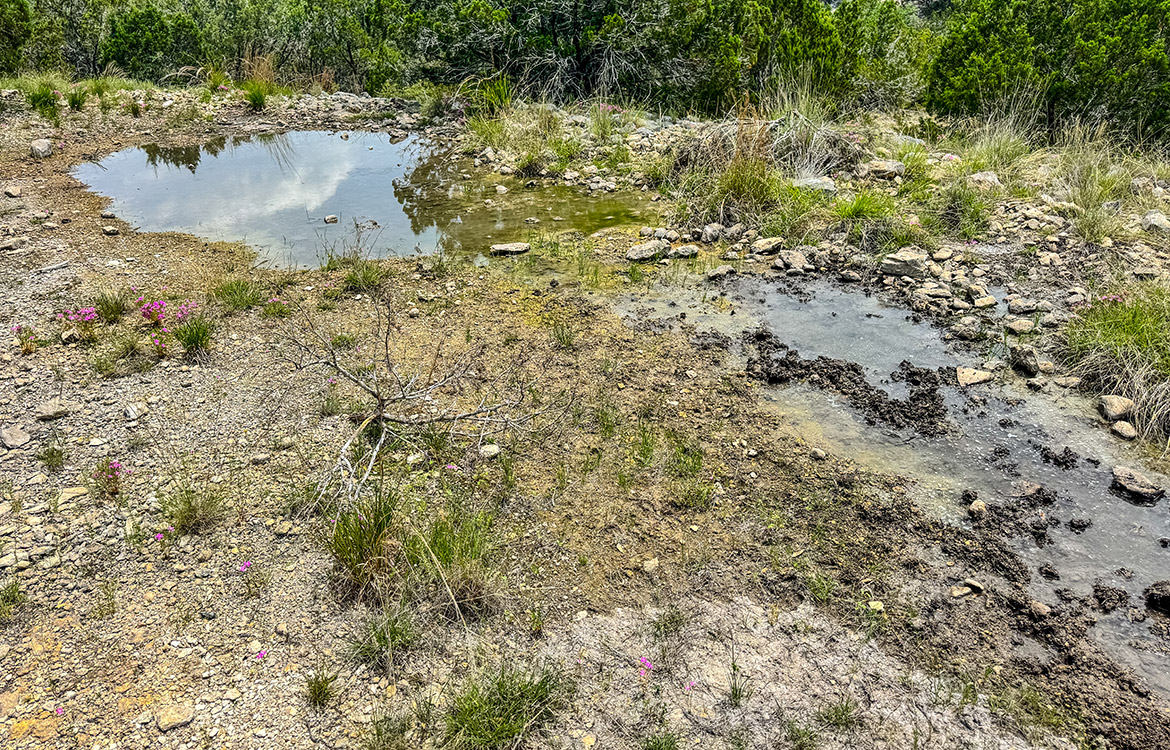 Edwards Escape 43 Acre Ranch For Sale In Edwards County Image 15