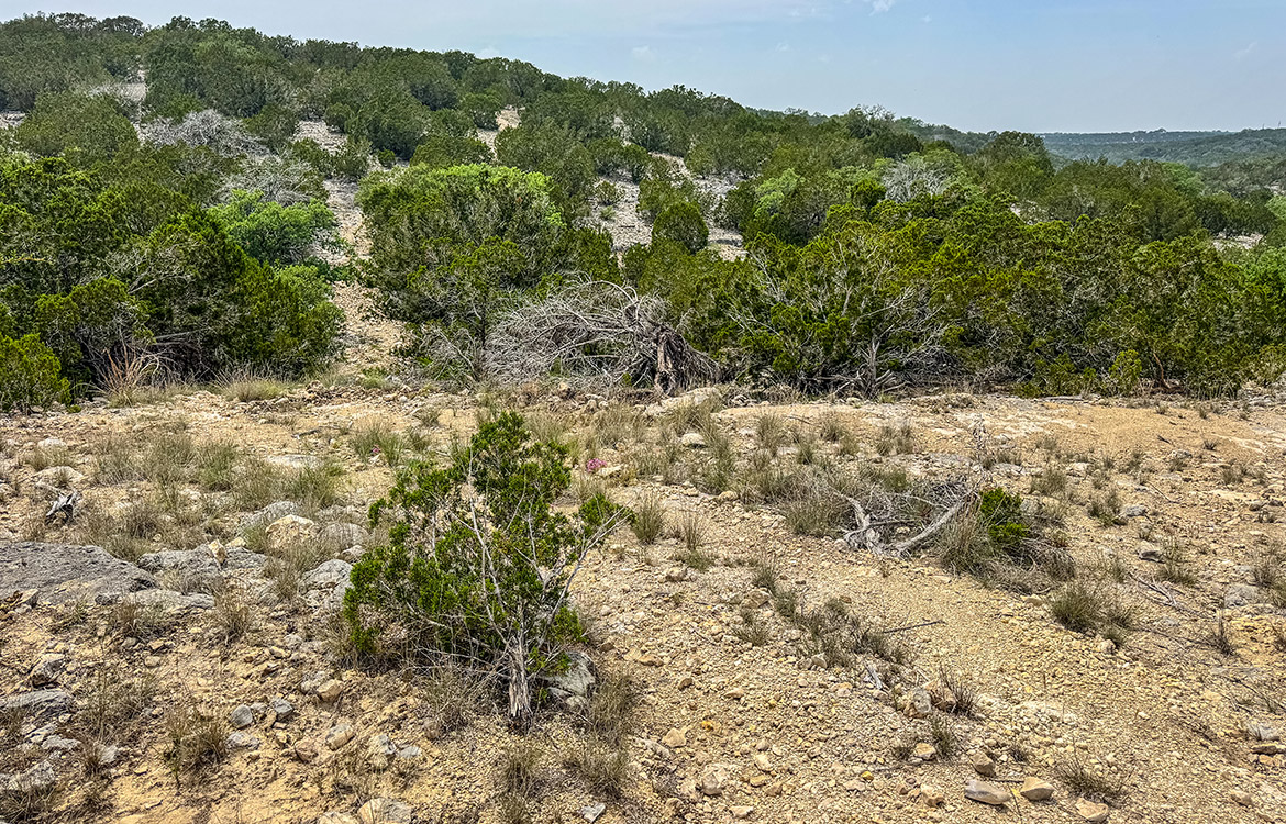 Edwards Escape 43 Acre Ranch For Sale In Edwards County Image 19