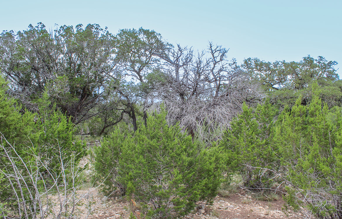 Sunrise Ranch 47 Acre Ranch For Sale In Edwards County