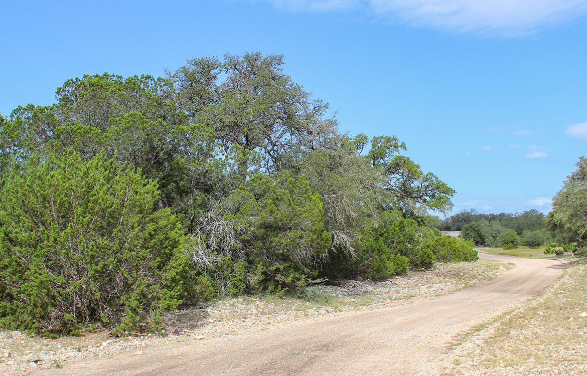 Sunrise Ranch 47 Acre Ranch For Sale In Edwards County