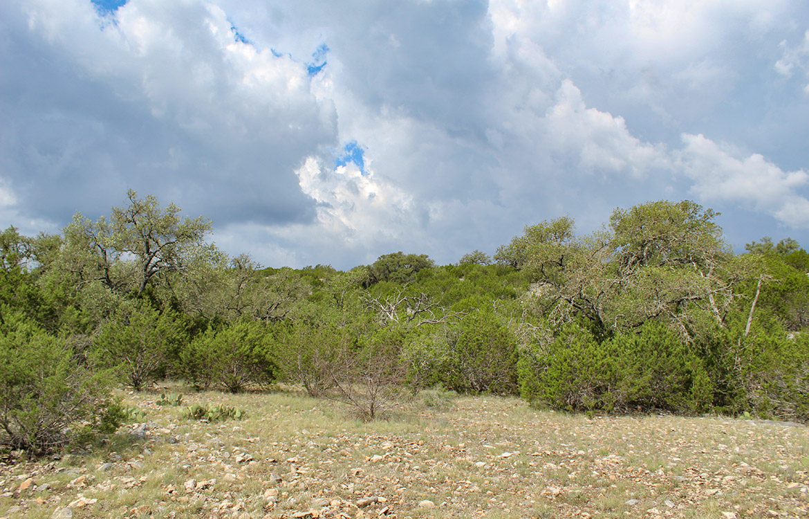 Sunrise Ranch 47 Acre Ranch For Sale In Edwards County