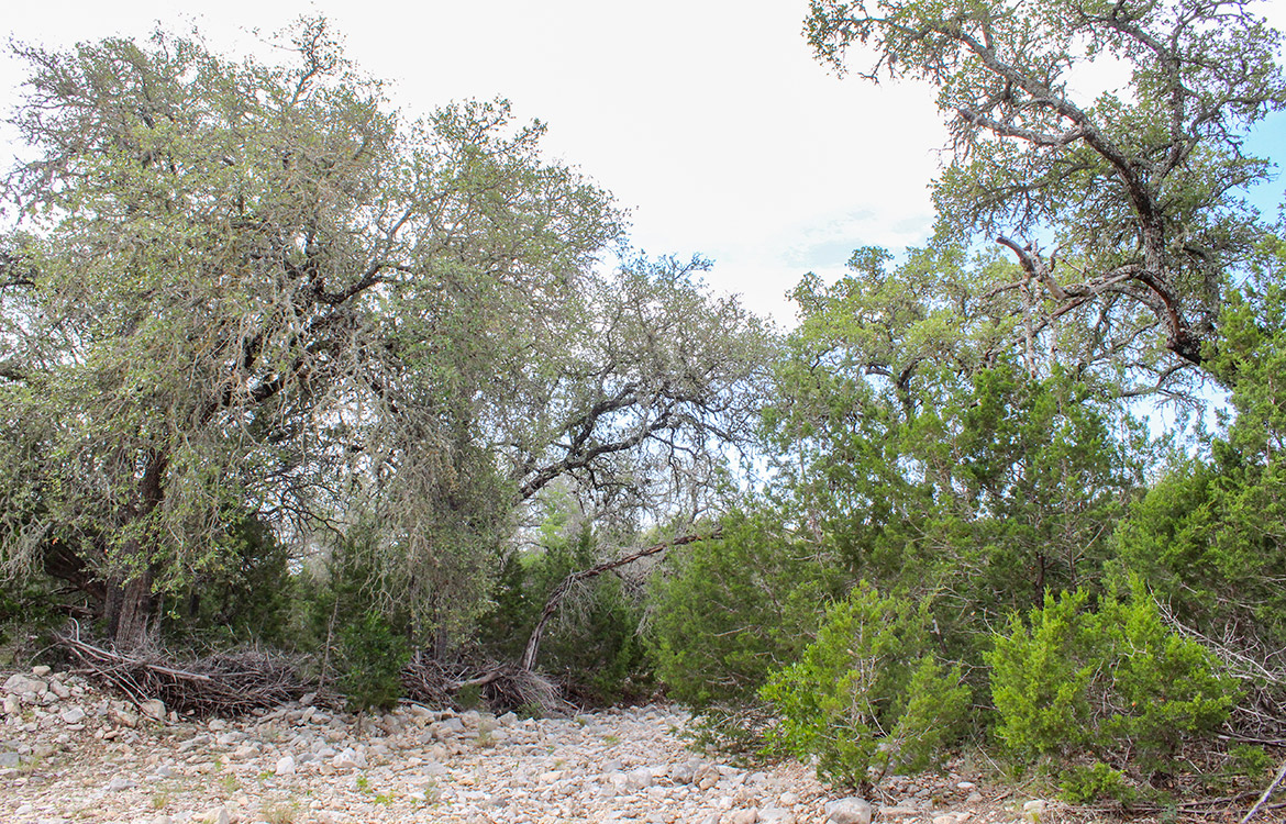 Sunrise Ranch 47 Acre Ranch For Sale In Edwards County