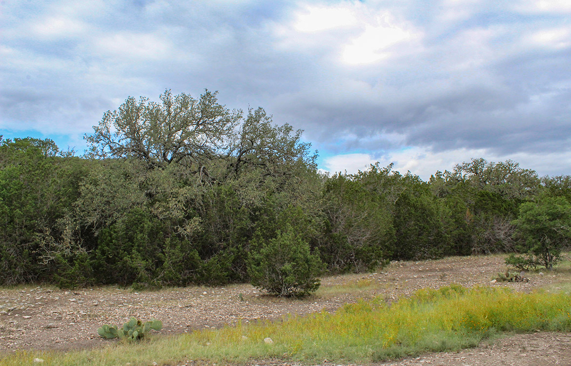 Sunrise Ranch 47 Acre Ranch For Sale In Edwards County