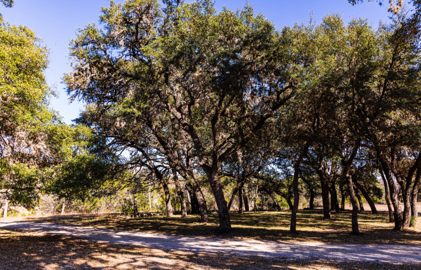 Patterson Creek Refuge 50 Acre Ranch in Real County Texas Image 10