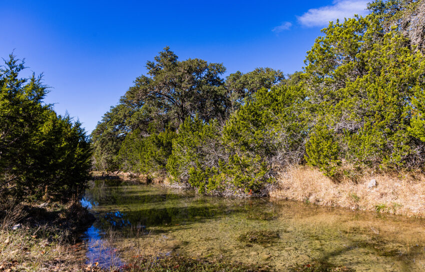Patterson Creek Refuge 50 Acre Ranch in Real County Texas Image 13
