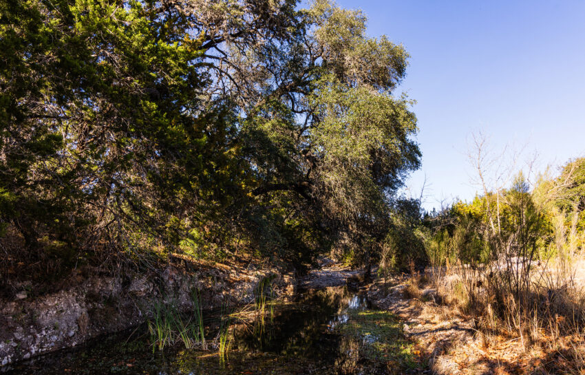 Patterson Creek Refuge 50 Acre Ranch in Real County Texas Image 14