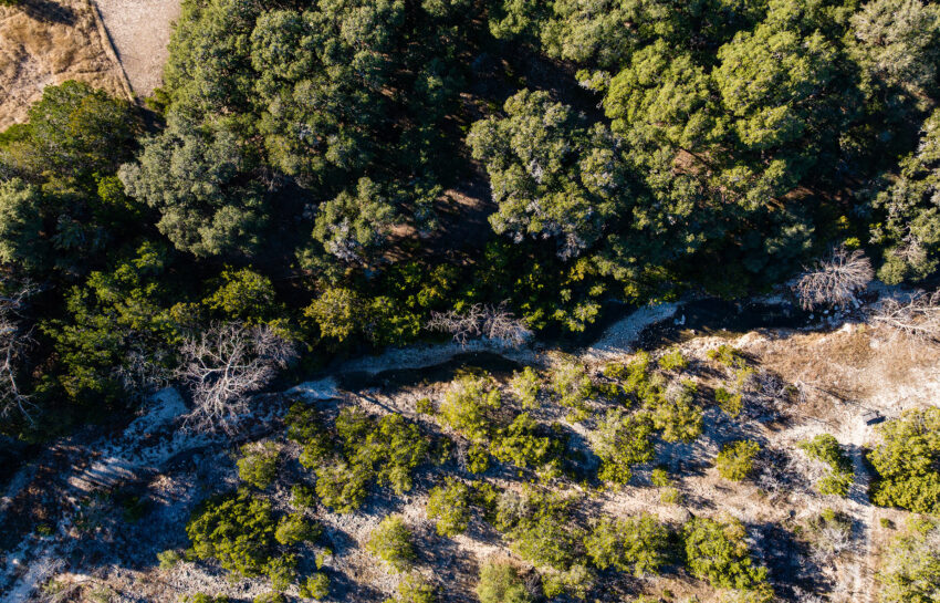 Patterson Creek Refuge 50 Acre Ranch in Real County Texas Image 15