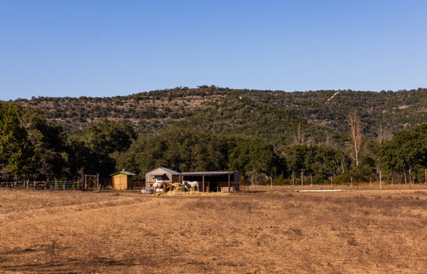 Patterson Creek Refuge 50 Acre Ranch in Real County Texas Image 5