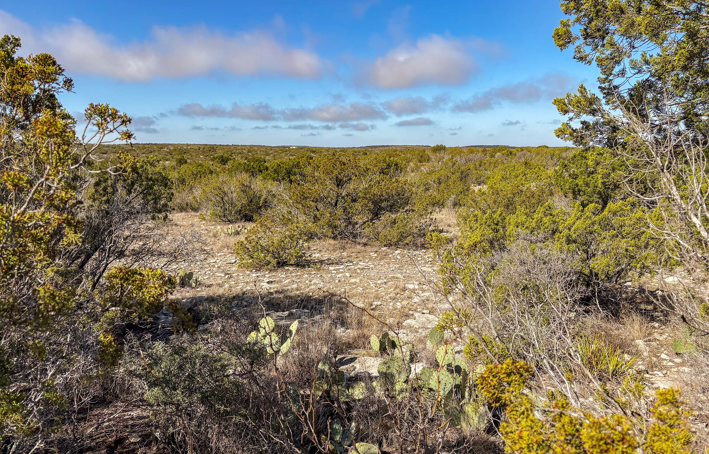 Juno 44 Ranch 44 Acre Ranch For Sale in Val Verde County Image 2