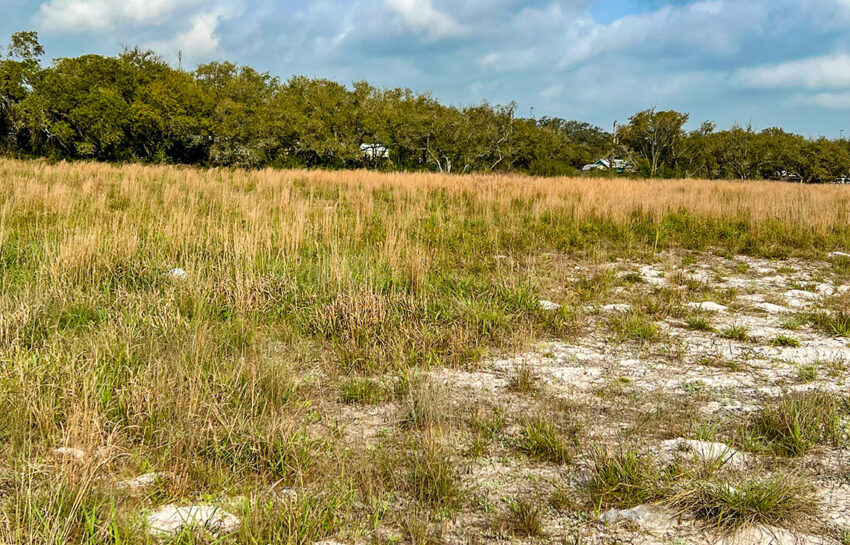 15 Acre Commercial Property For Sale In Aransas County Image 2