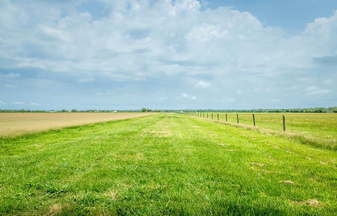 Bayou Oaks Ranch 234 Acre Ranch For Sale In Brazoria County
