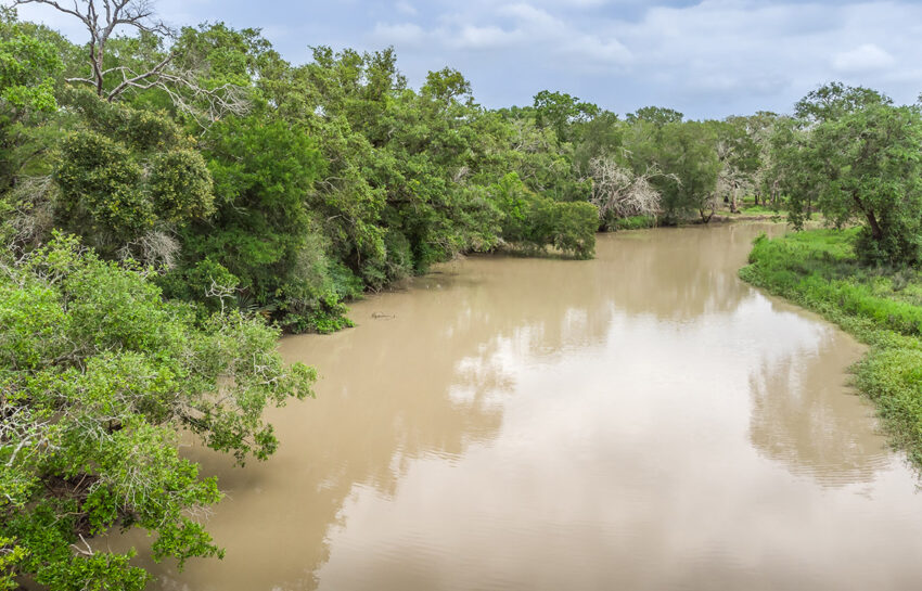 Bayou Oaks Ranch 234 Acre Ranch For Sale In Brazoria County Image 3